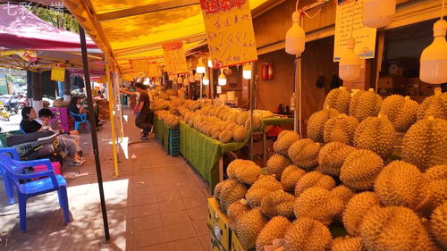 中老鐵路 客貨運(yùn)雙雙突破5000萬(wàn)，合作共贏之路改變我們的生活與貨機(jī)車配件行業(yè)