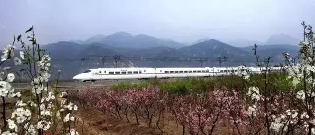 上海鐵路客運(yùn)迎來(lái)新發(fā)展 專訪郭竹學(xué)局長(zhǎng)解讀重大信息